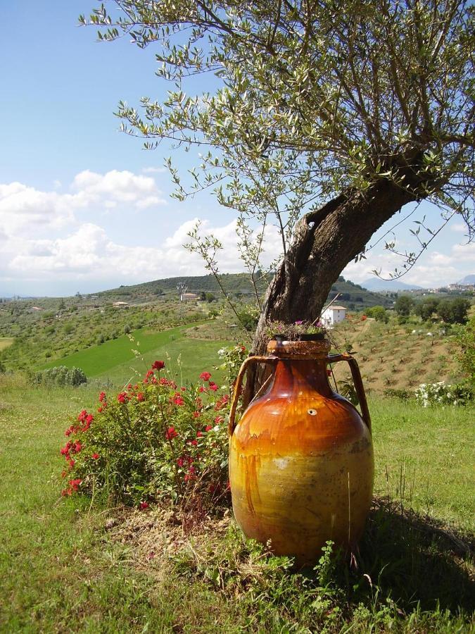 فيلا Abruzzocasacampagna Collecorvino - Monolocale Con Mini-Cucina, Giardino E Parcheggio المظهر الخارجي الصورة